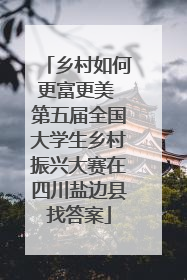 乡村如何更富更美 第五届全国大学生乡村振兴大赛在四川盐边县找答案